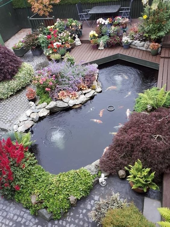 WhatsApp Image 2024-11-28 at 2.32.27 PM